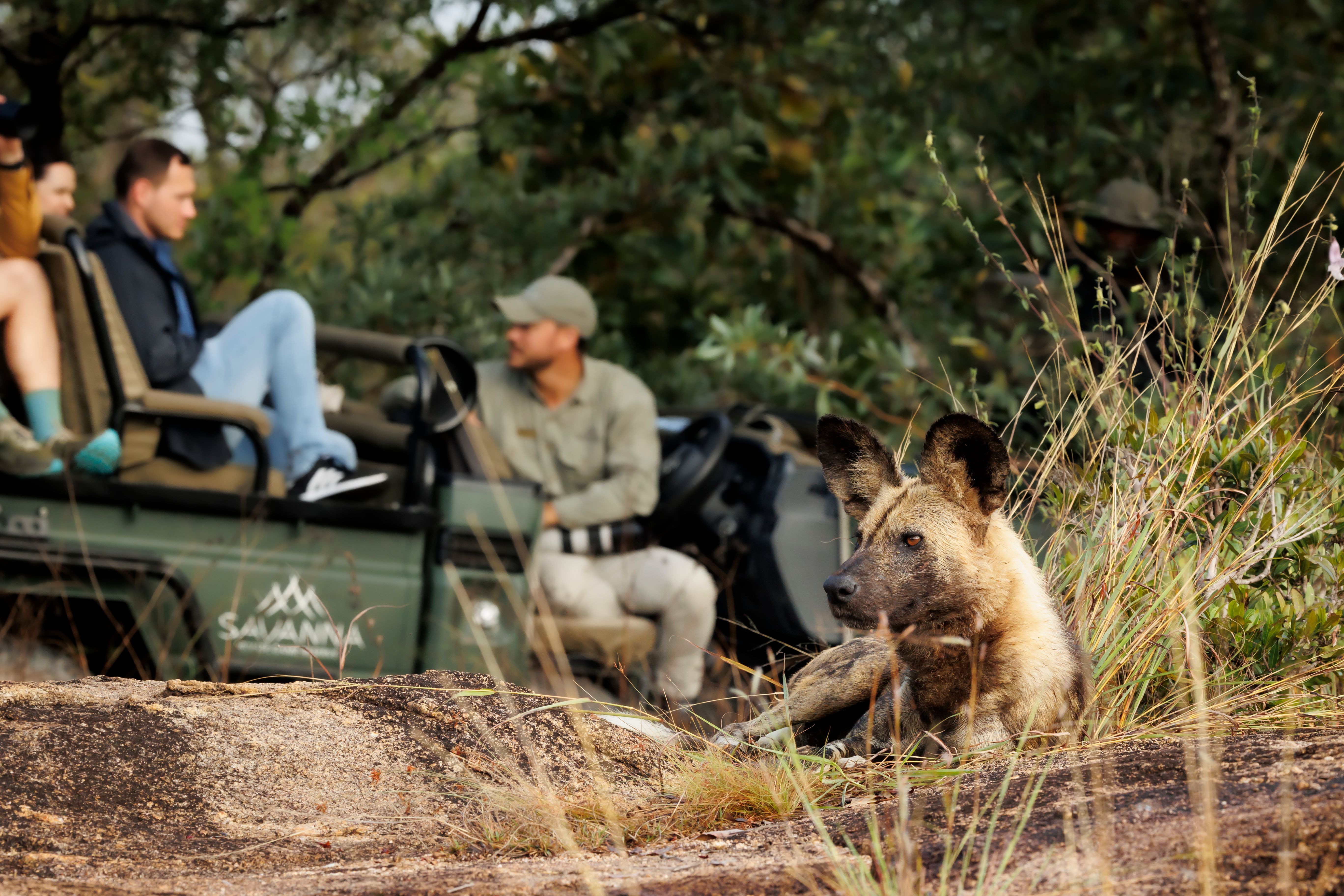 Safari testimonial - Wildlife and people experience