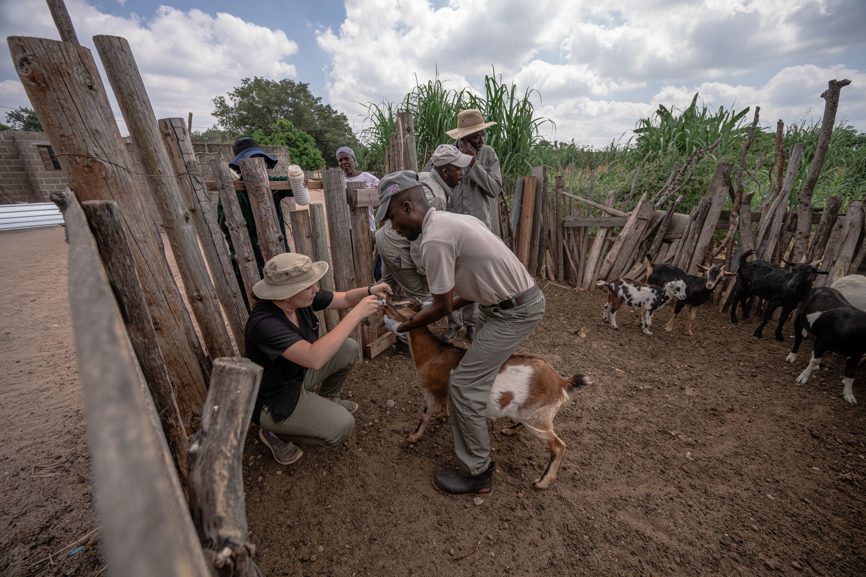 Community & Conservation