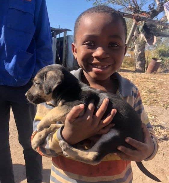Boy holding a puppy from the Khumba Ncila Touching Tails initiative