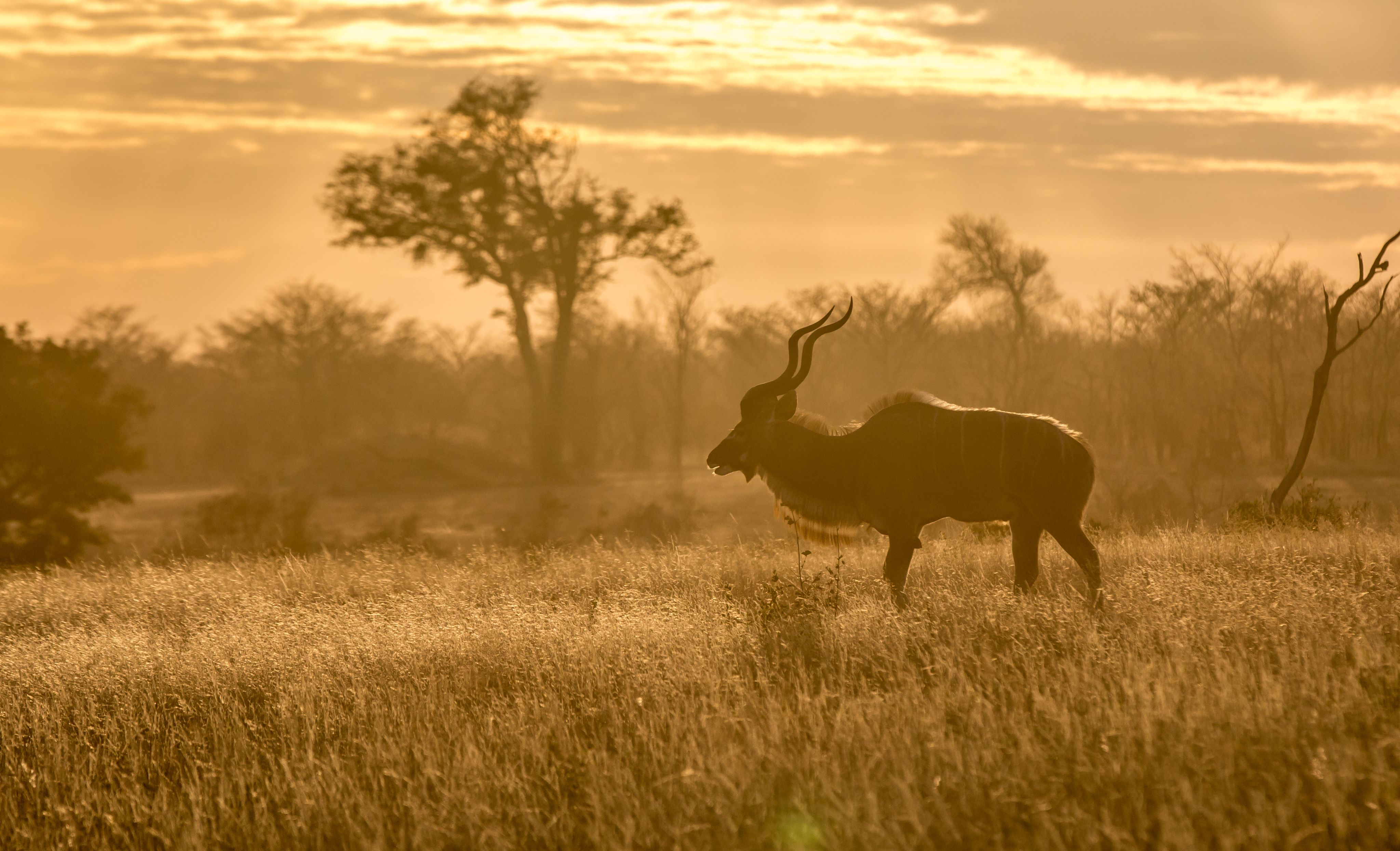 HABITAT MANAGEMENT