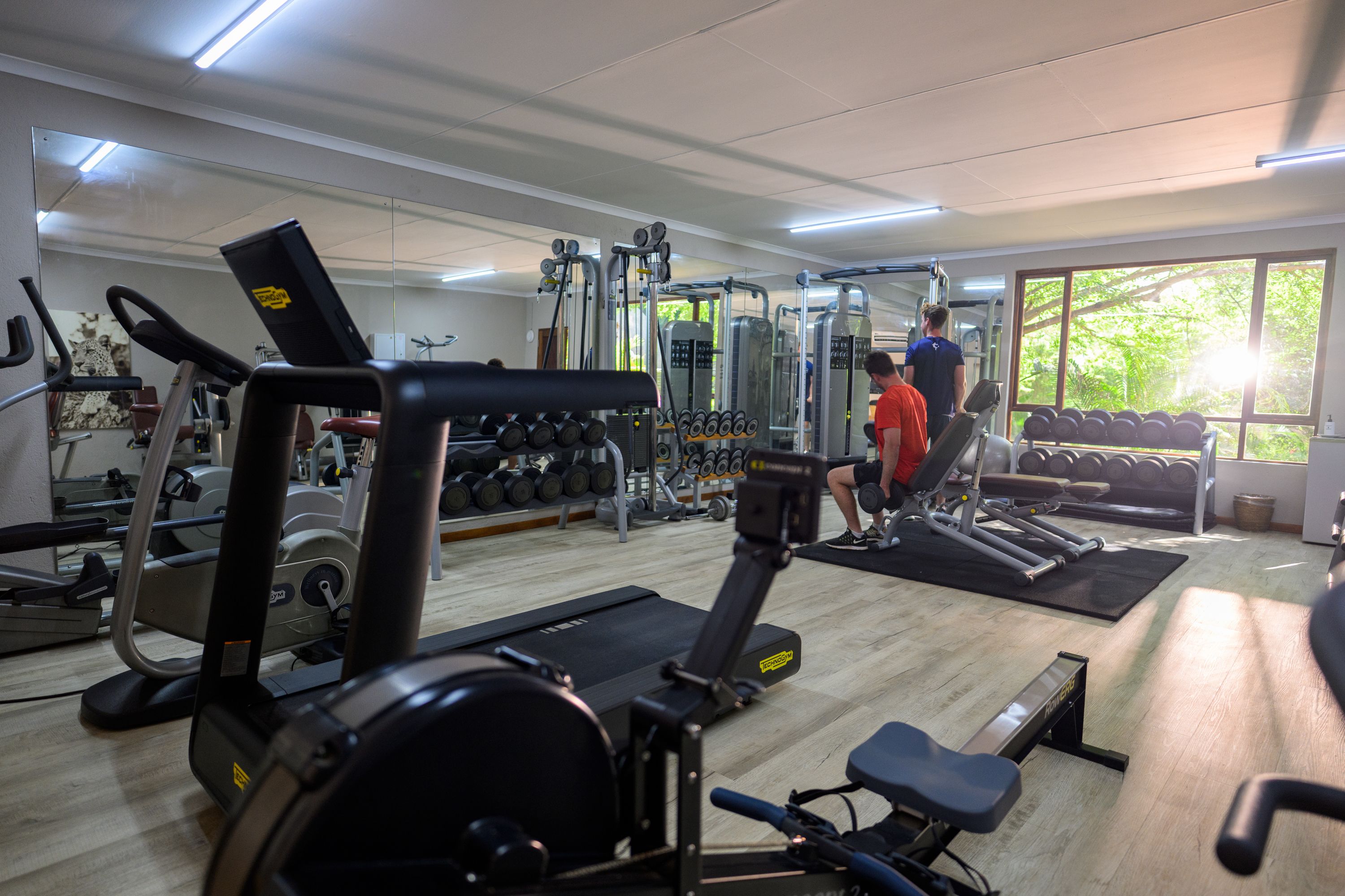 Wellness