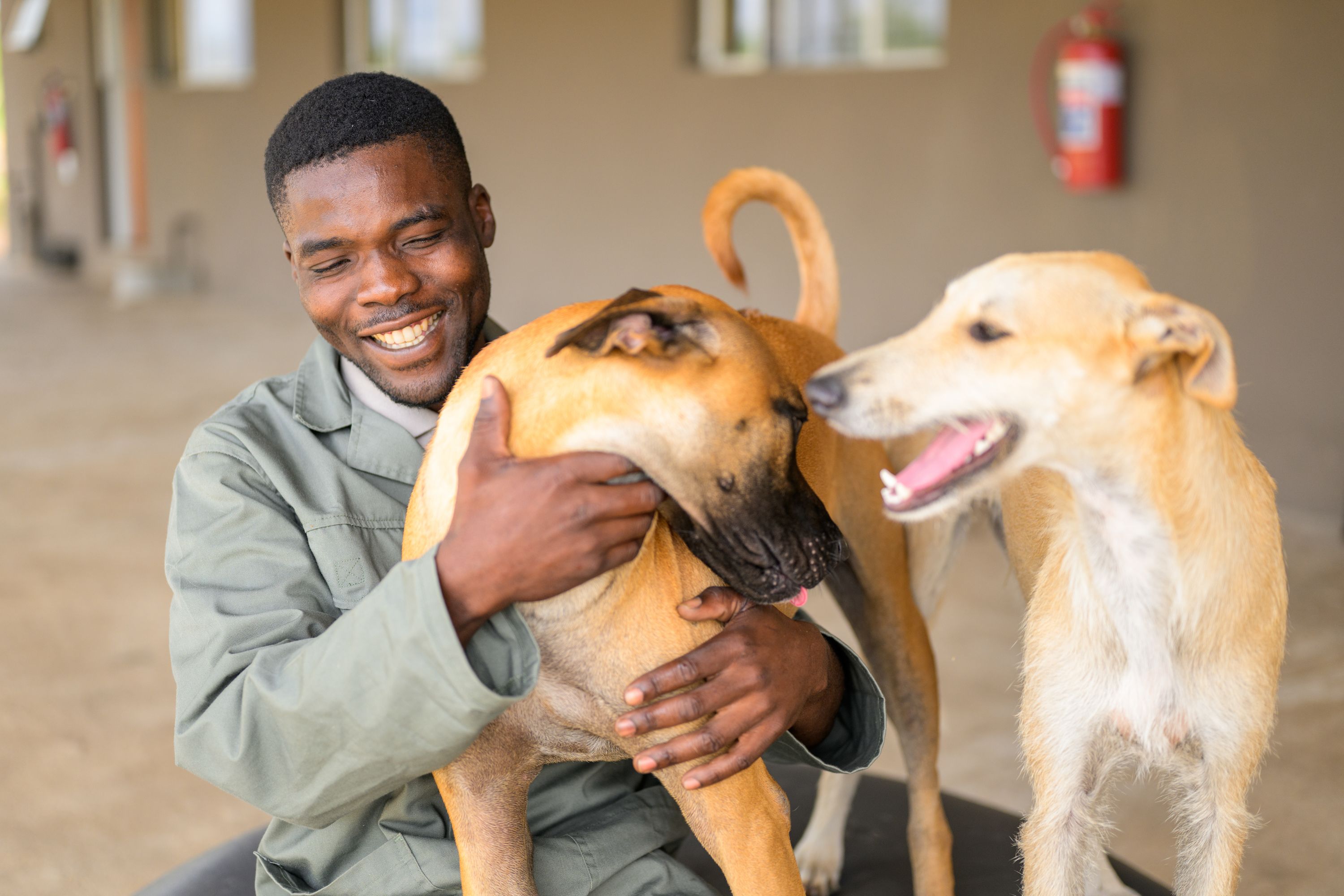 Conservation and Community - Man with dogs